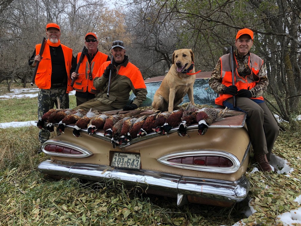 Pheasant Combo Hunt