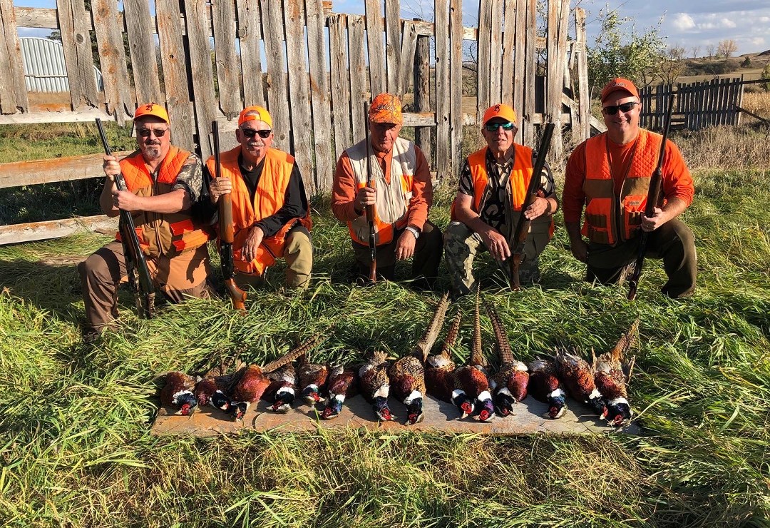 ND Pheasant Hunt
