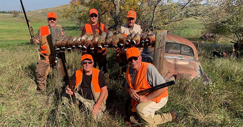 North Dakota Pheasant Hunting